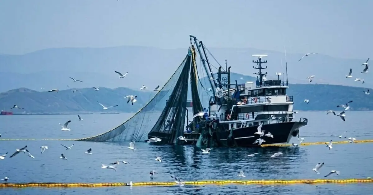 Denizlerde av yasağı 15 Nisan’da başlıyor